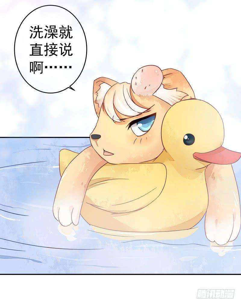31.jpg