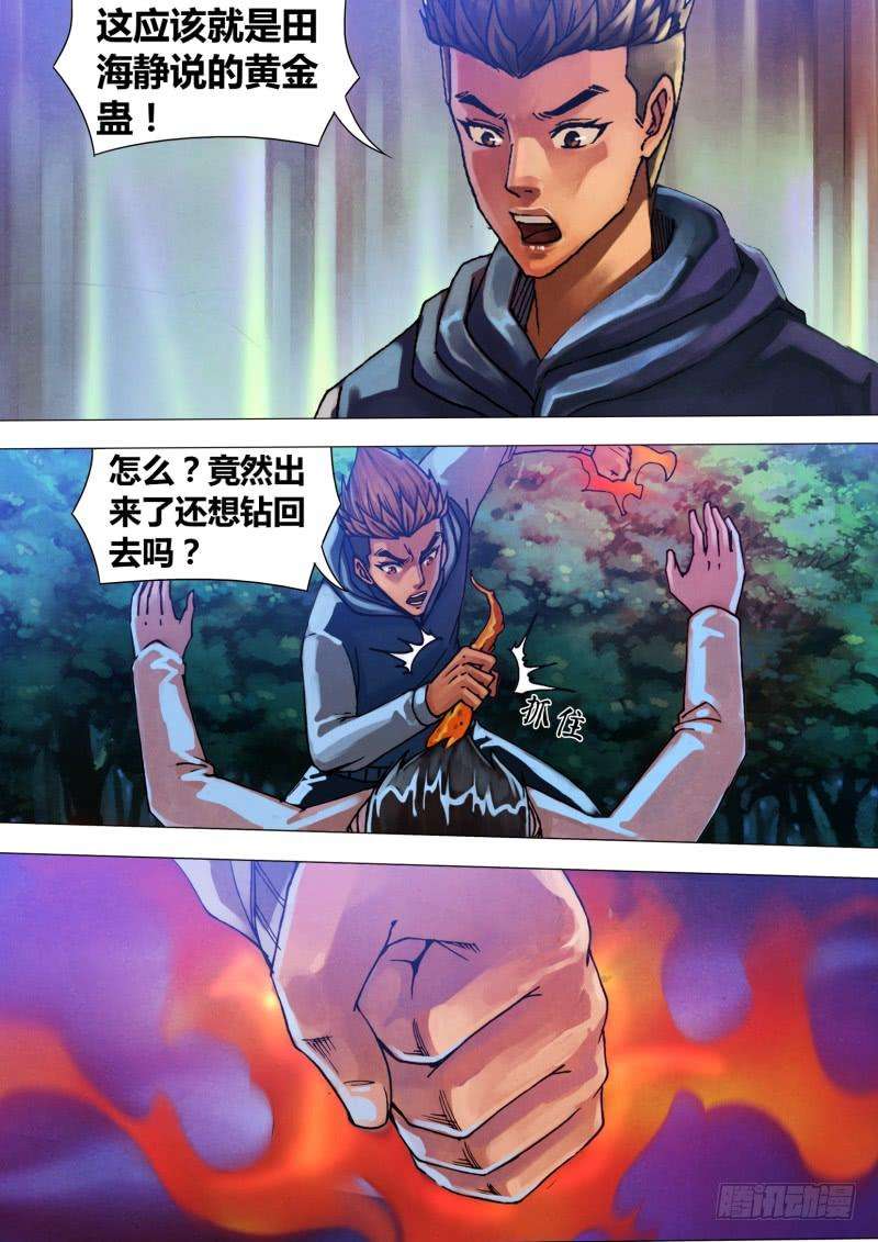6.jpg