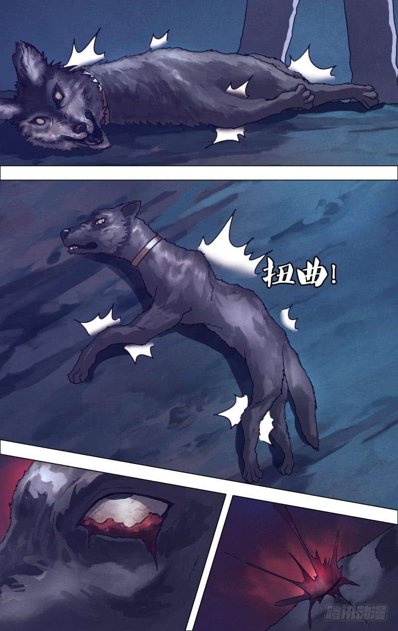 6.jpg