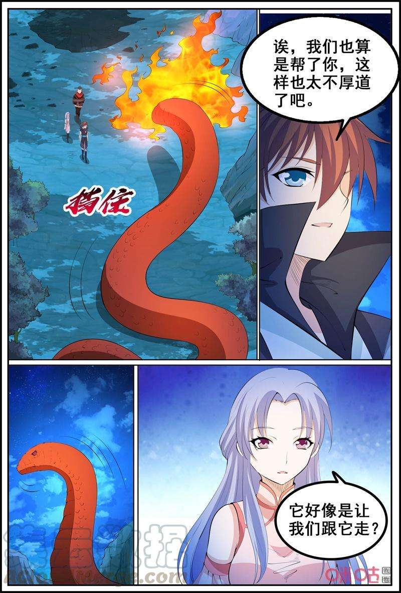3.jpg