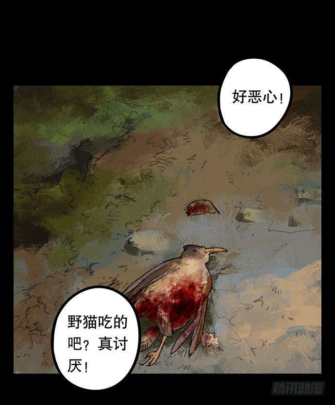 51.jpg