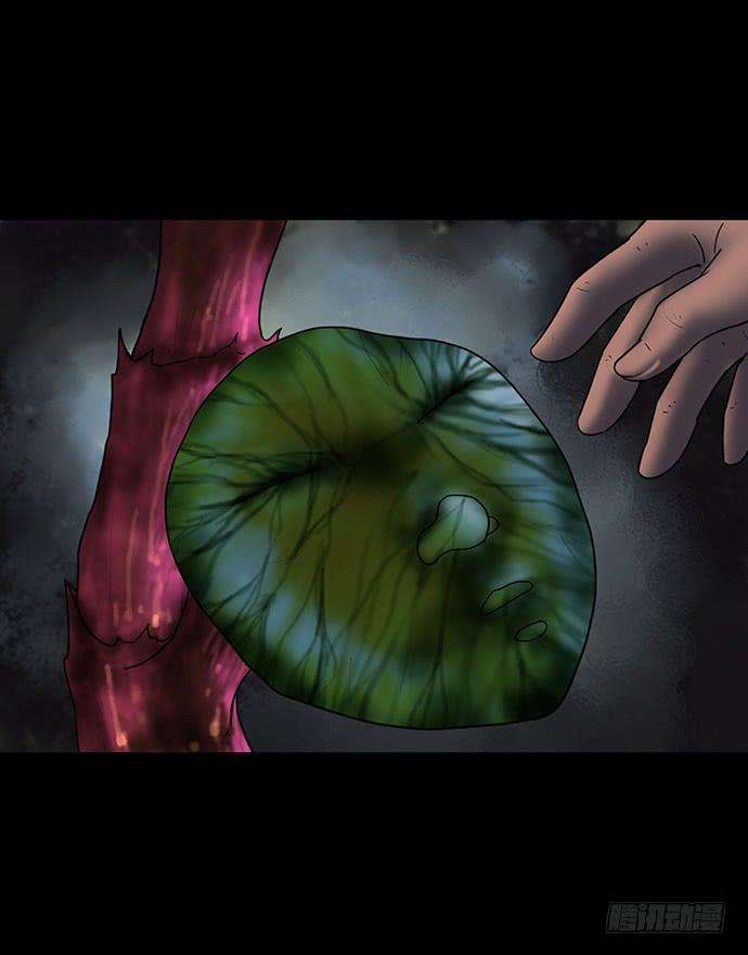 37.jpg