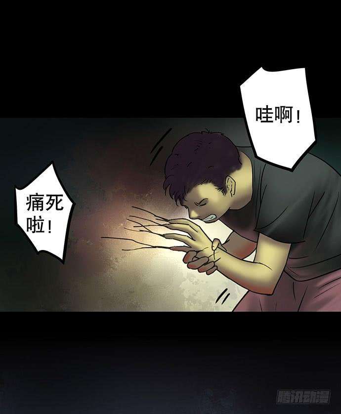 54.jpg