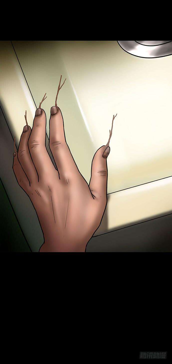 51.jpg