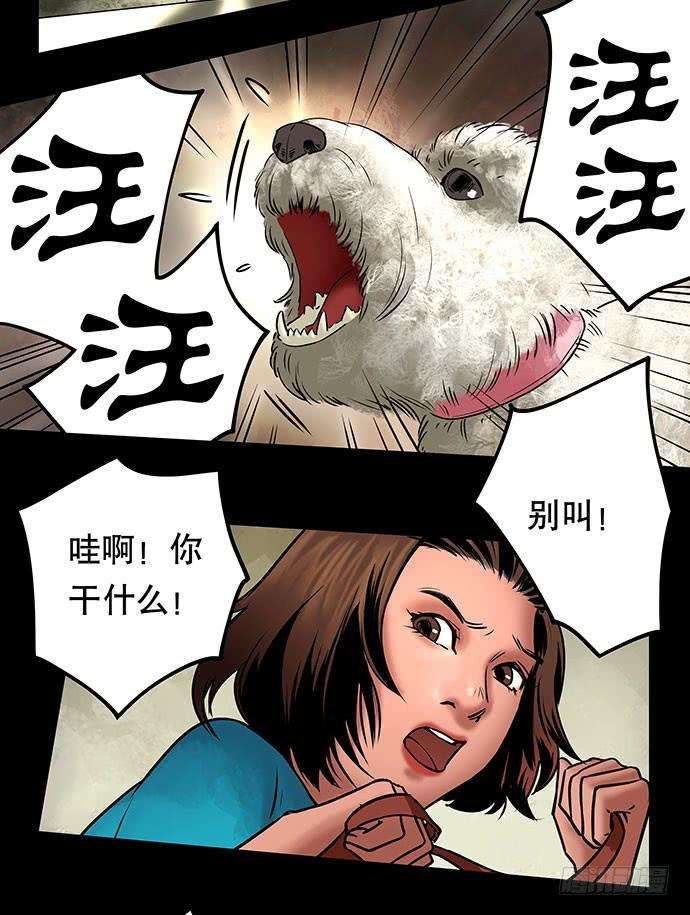 27.jpg