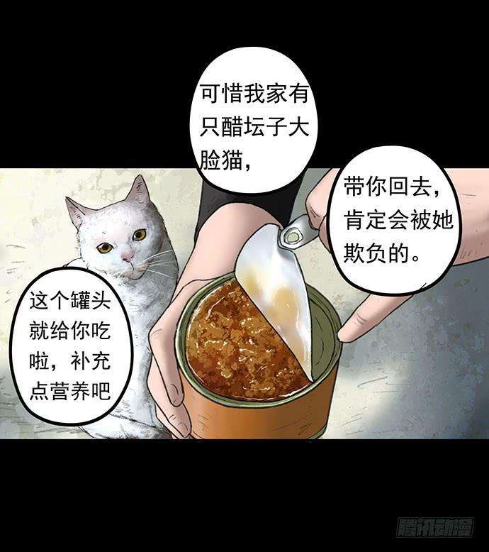 20.jpg