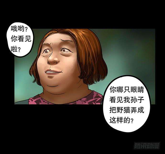 54.jpg
