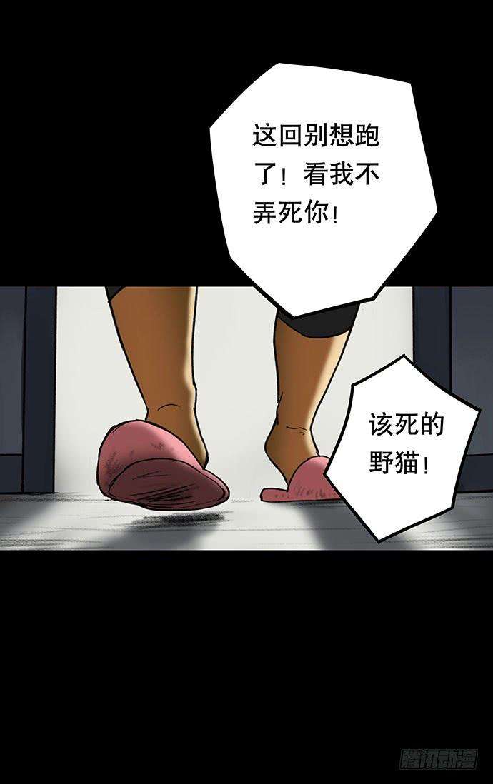34.jpg