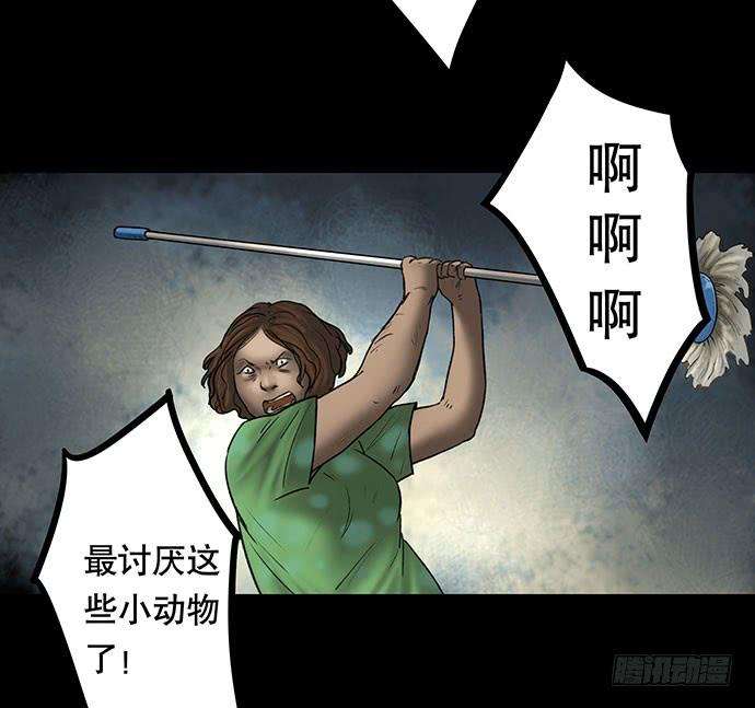 58.jpg