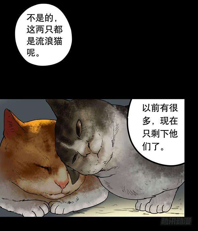 38.jpg