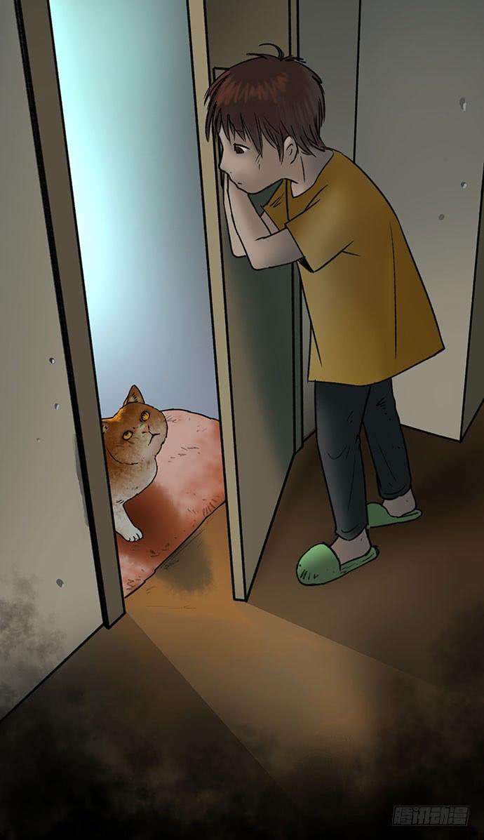 47.jpg