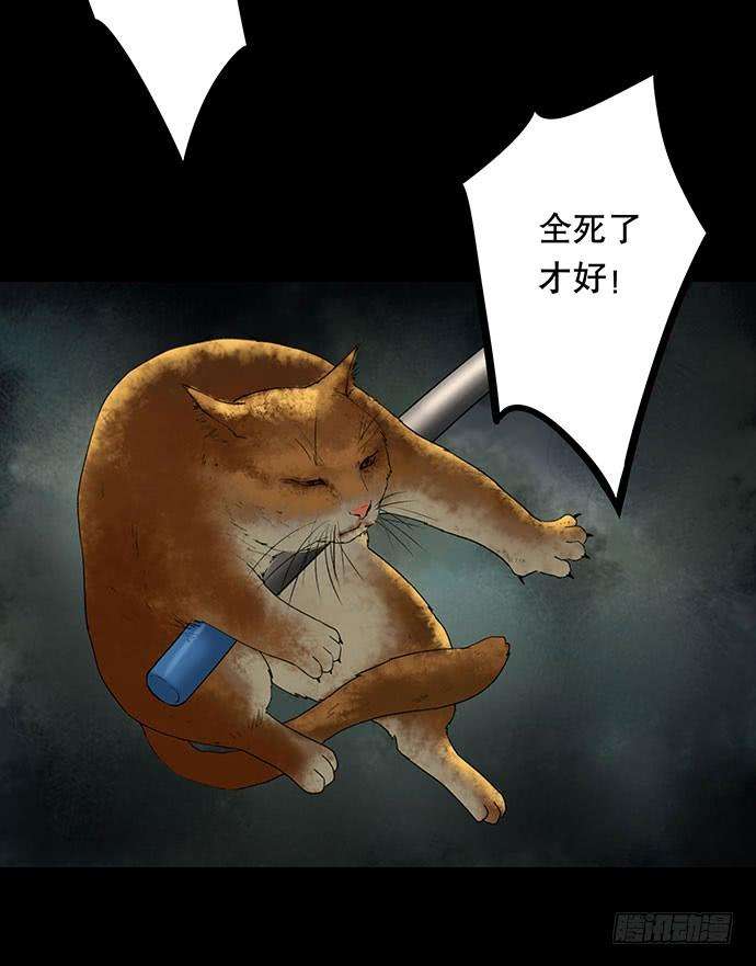 59.jpg