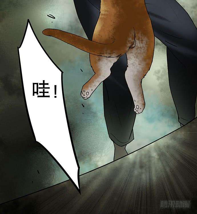 55.jpg