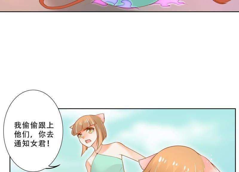 47.jpg