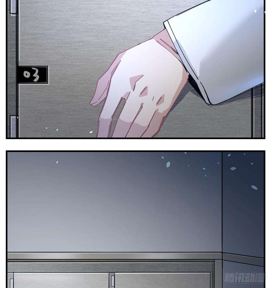33.jpg
