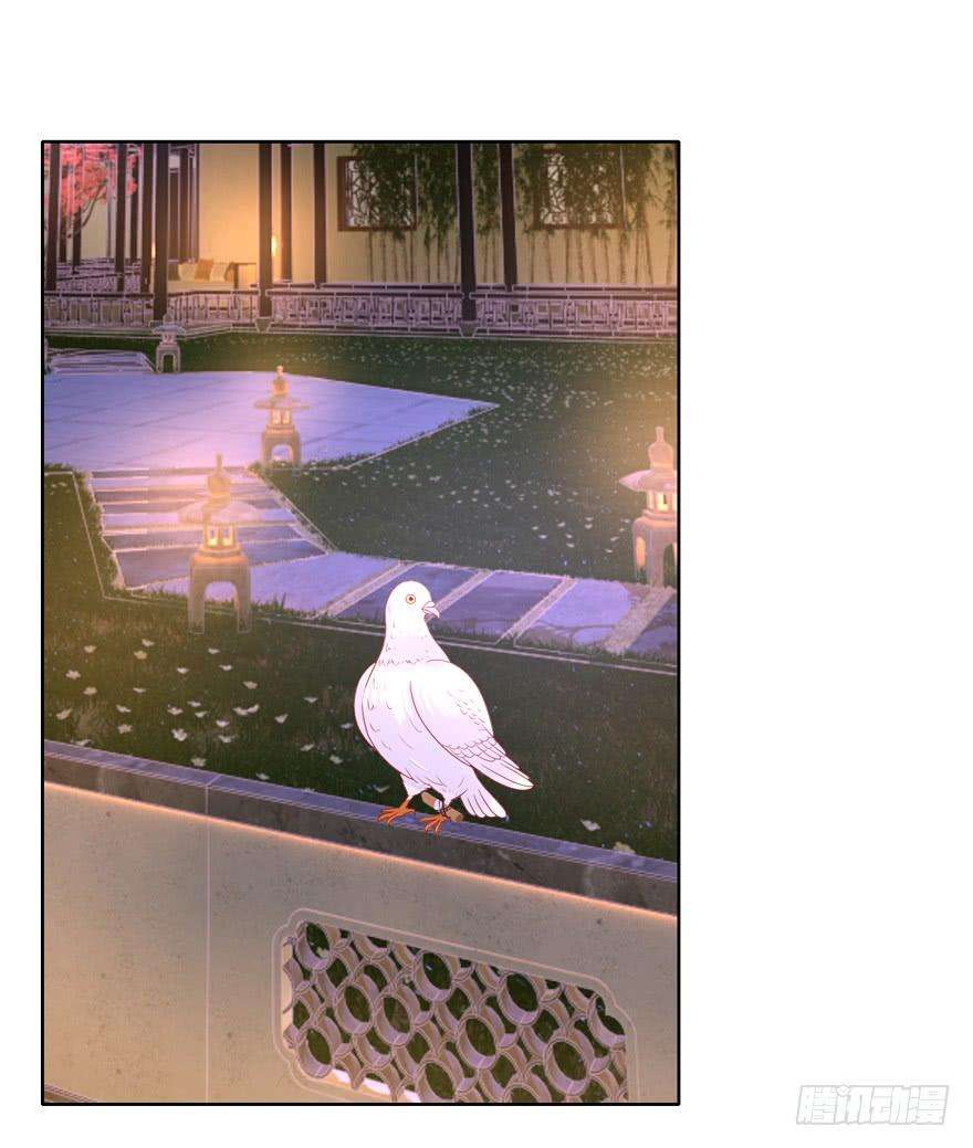 28.jpg