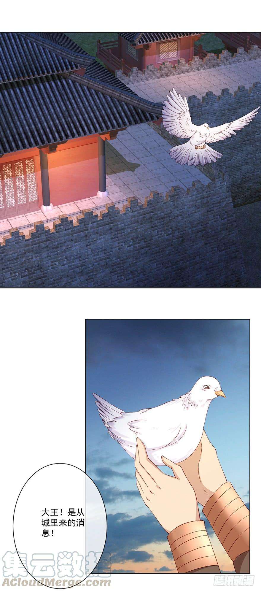 25.jpg