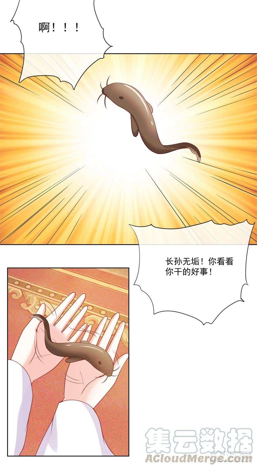 33.jpg