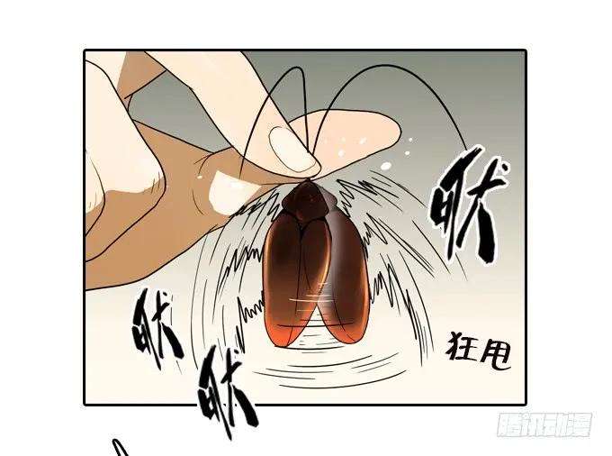 36.jpg
