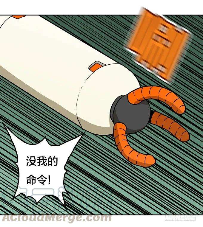 16.jpg