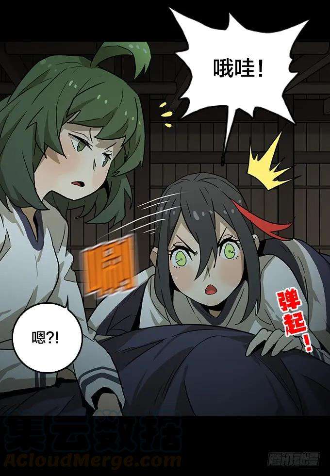 41.jpg