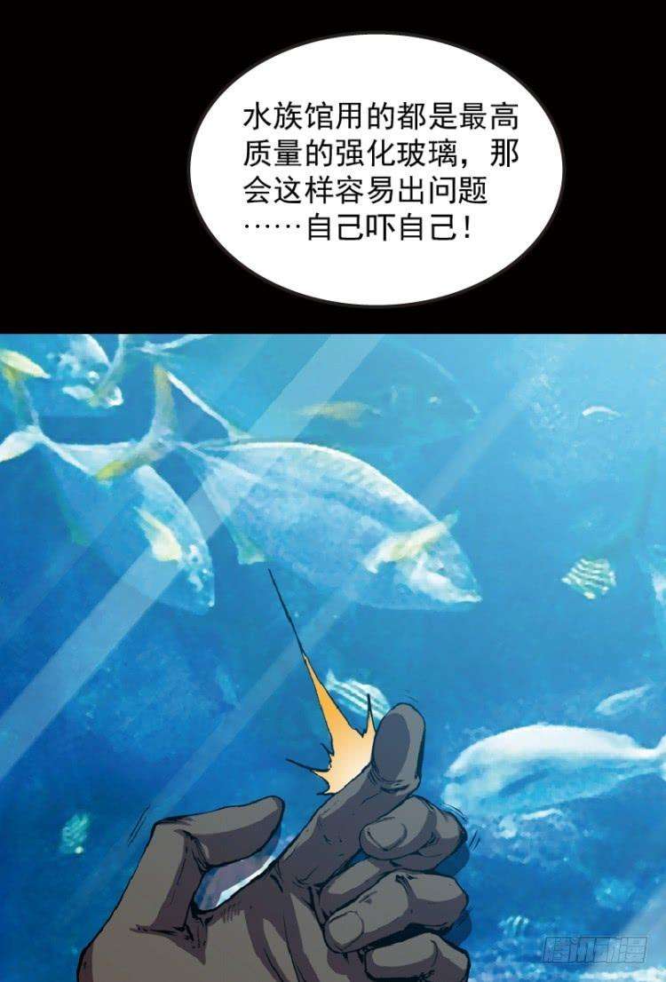 44.jpg