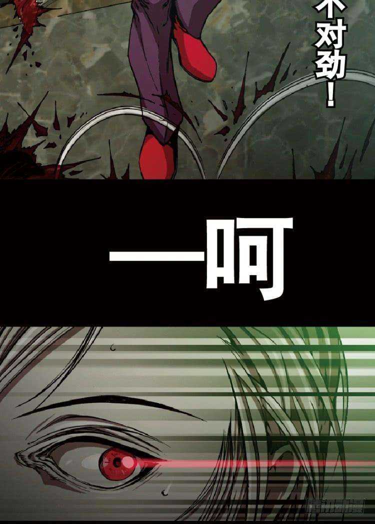 47.jpg