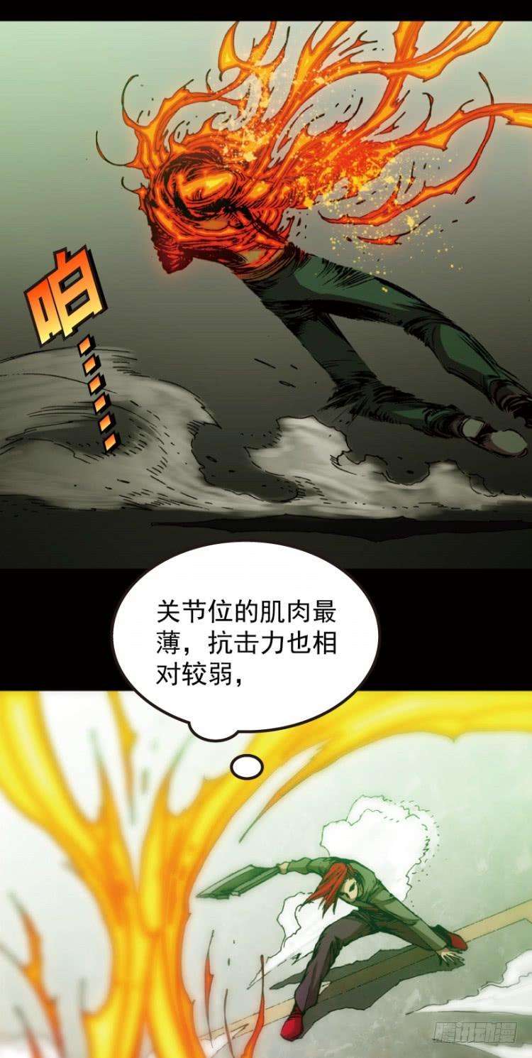 33.jpg