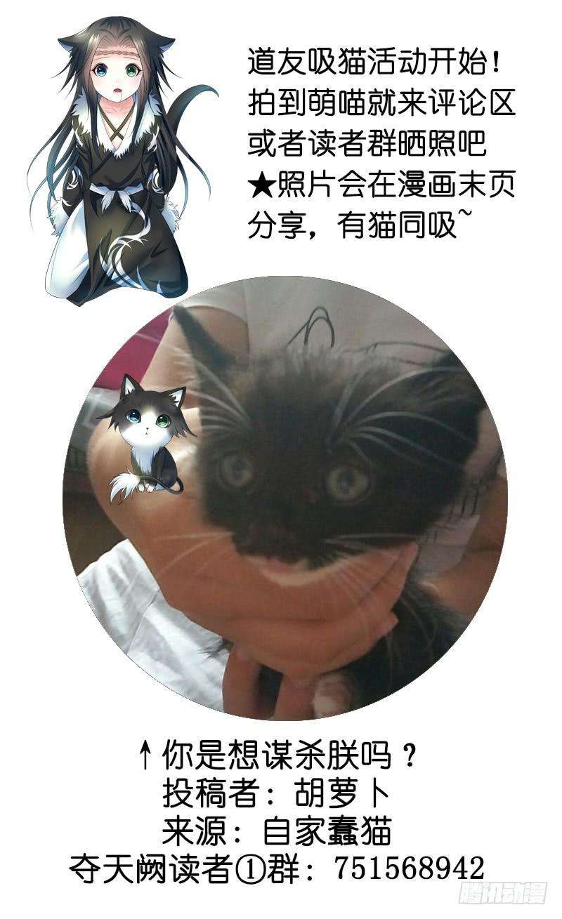49.jpg