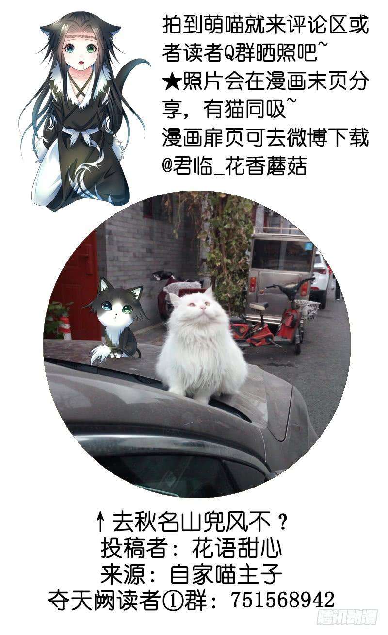 53.jpg