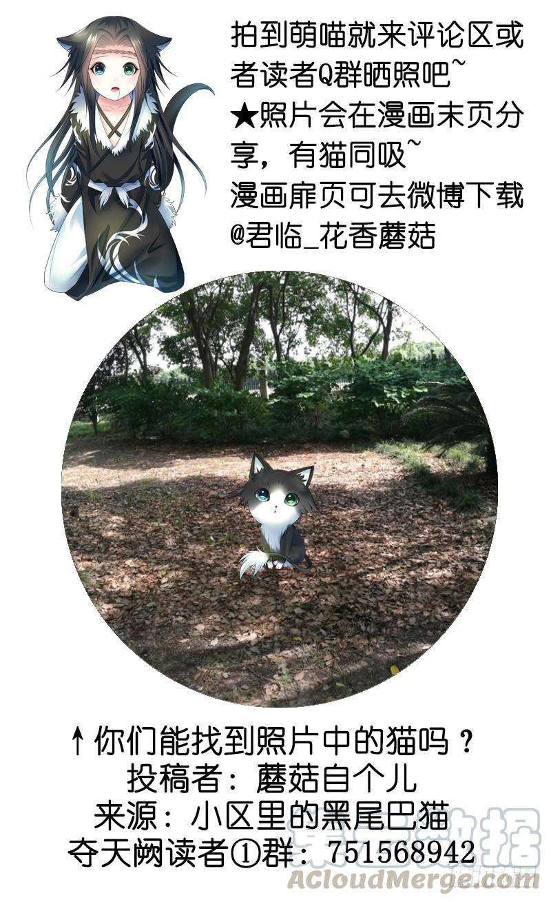 51.jpg