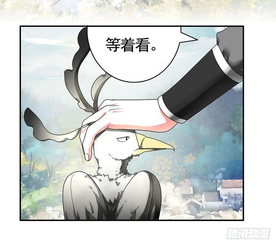 54.jpg
