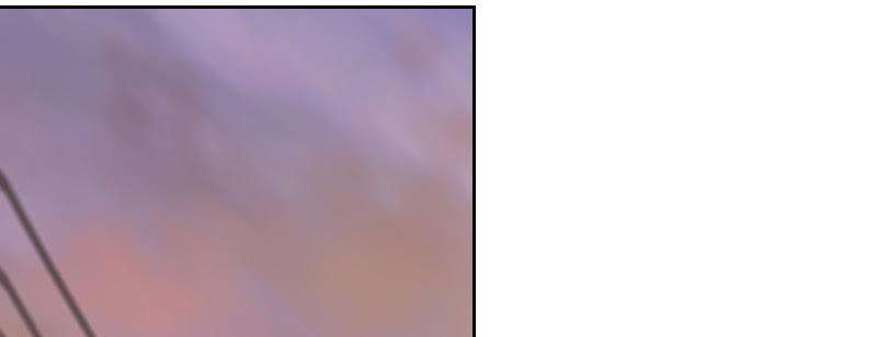 110.jpg
