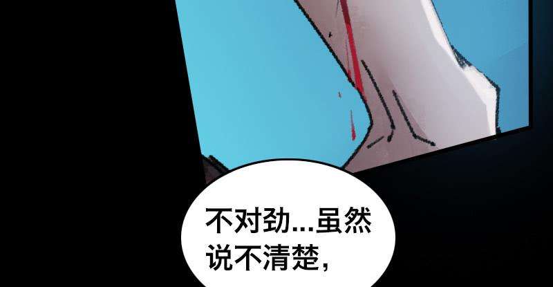78.jpg