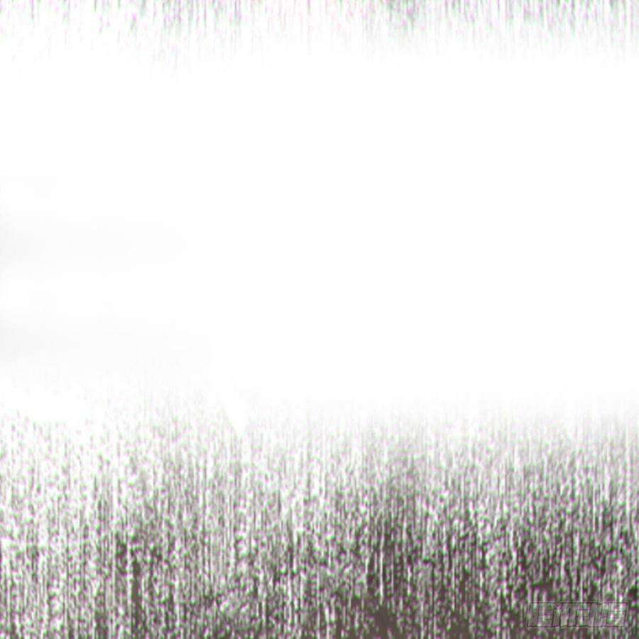 46.jpg