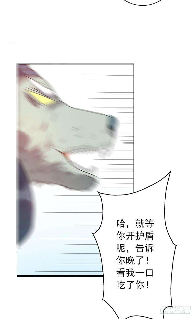 29.jpg