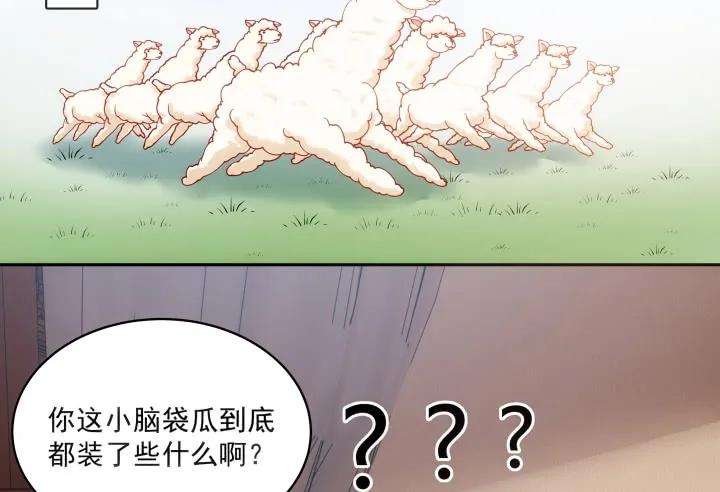 63.jpg
