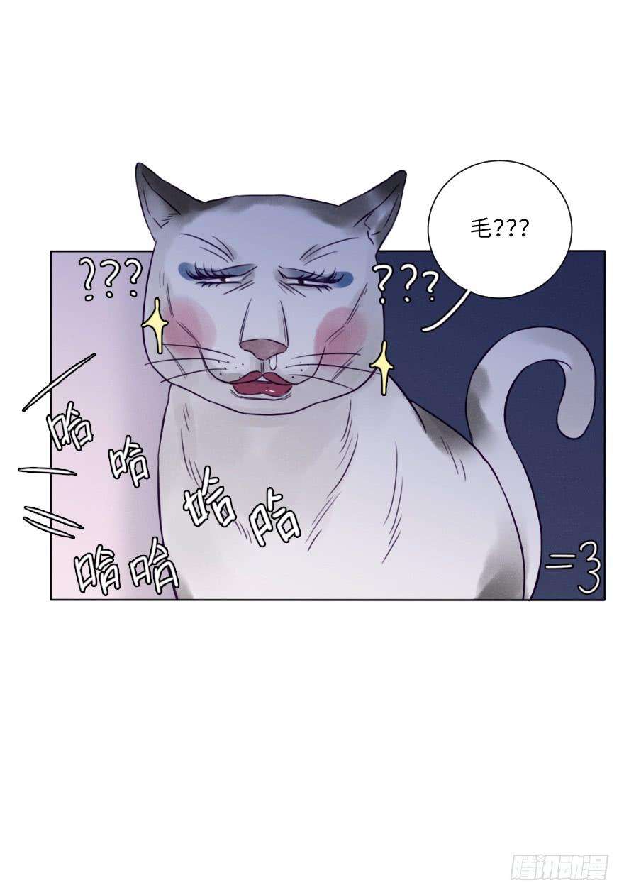 58.jpg