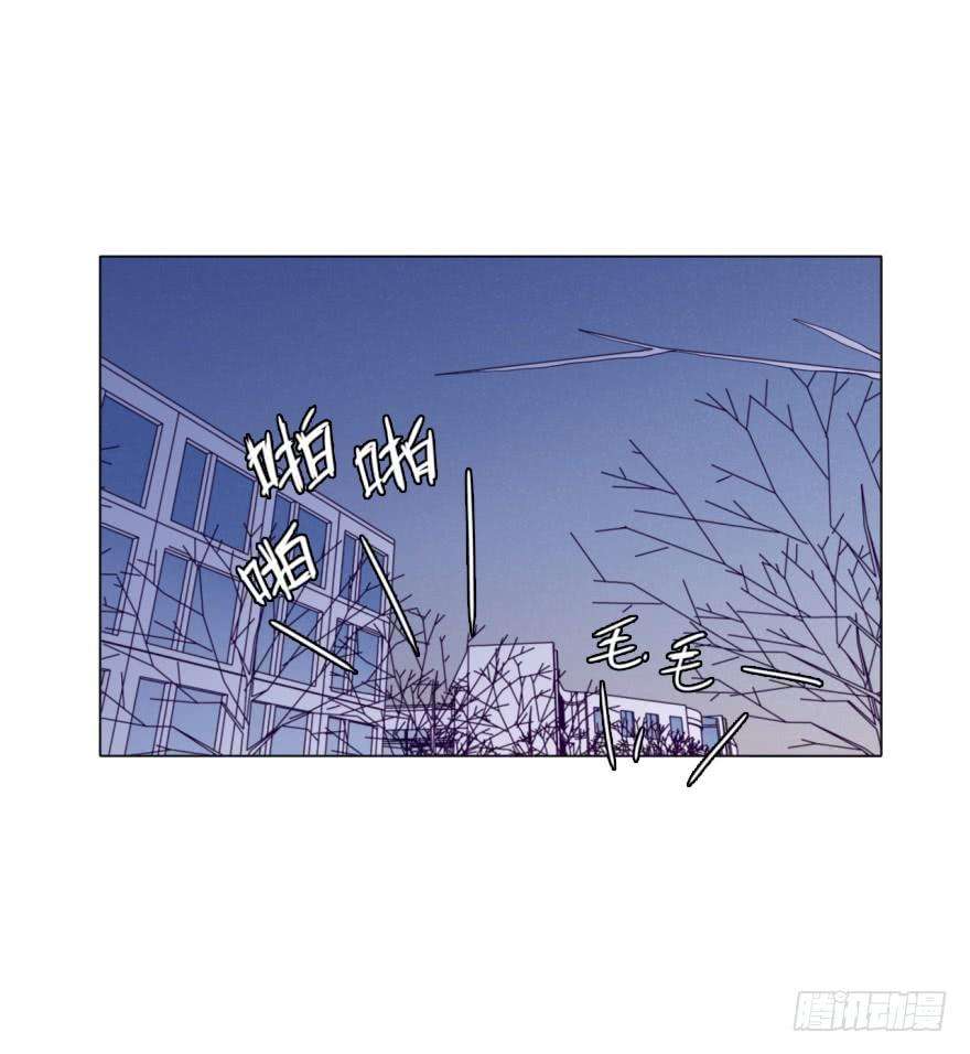 46.jpg