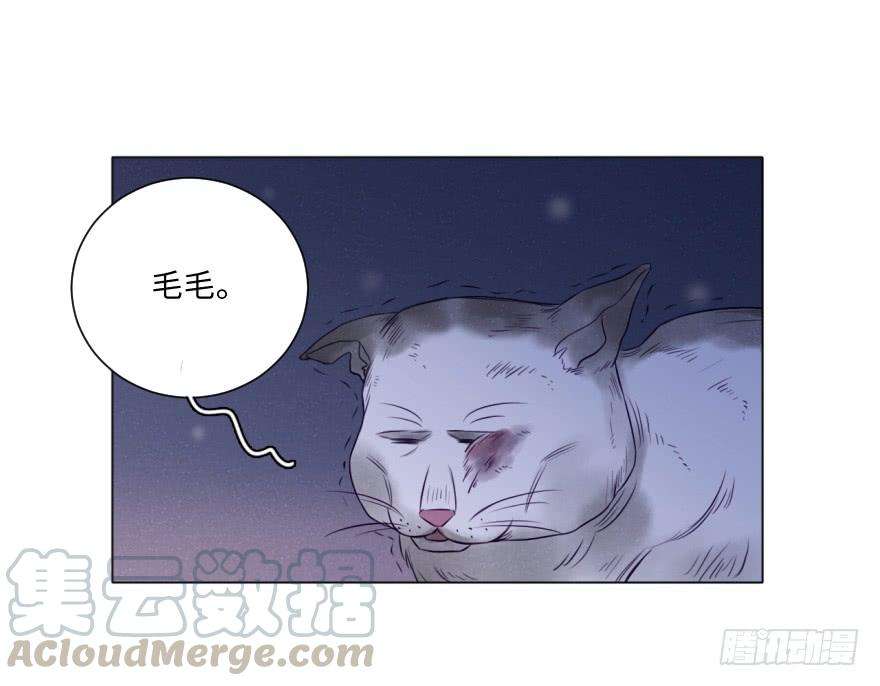 53.jpg