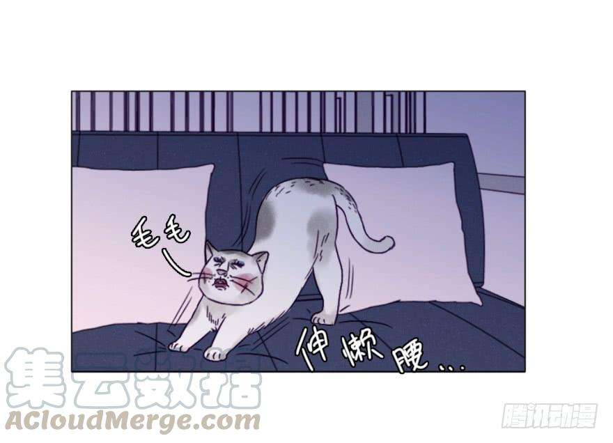 65.jpg
