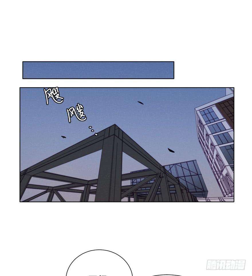 43.jpg