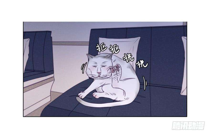 60.jpg