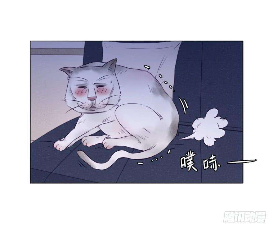 62.jpg