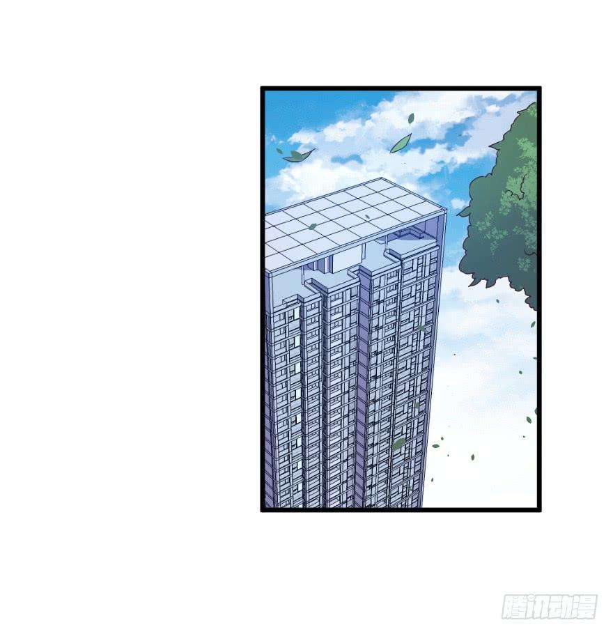 31.jpg