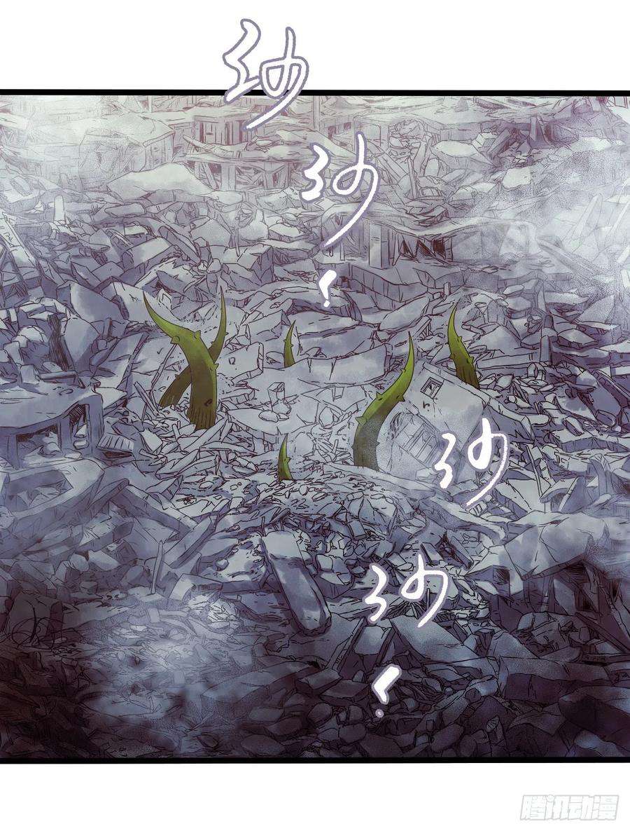 41.jpg