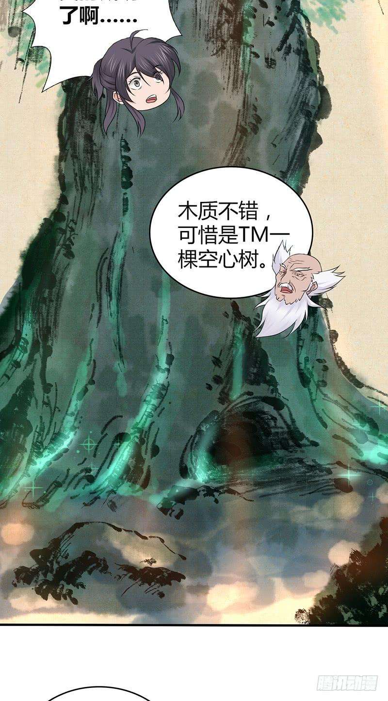 47.jpg