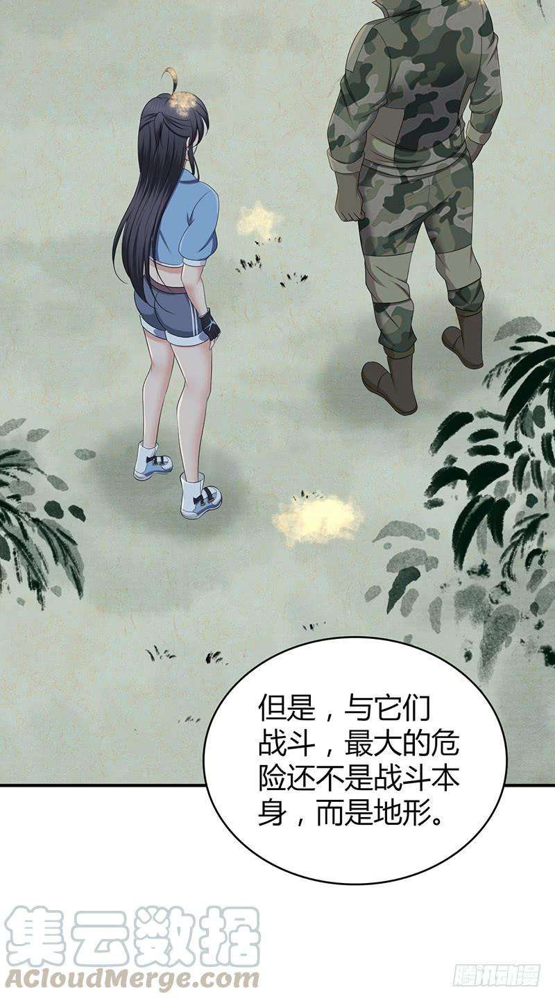33.jpg