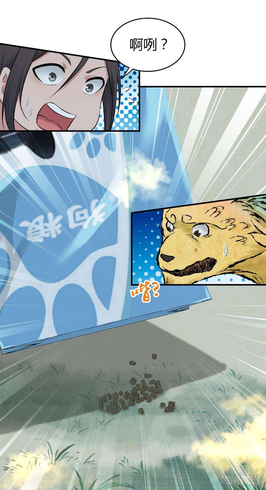 31.jpg