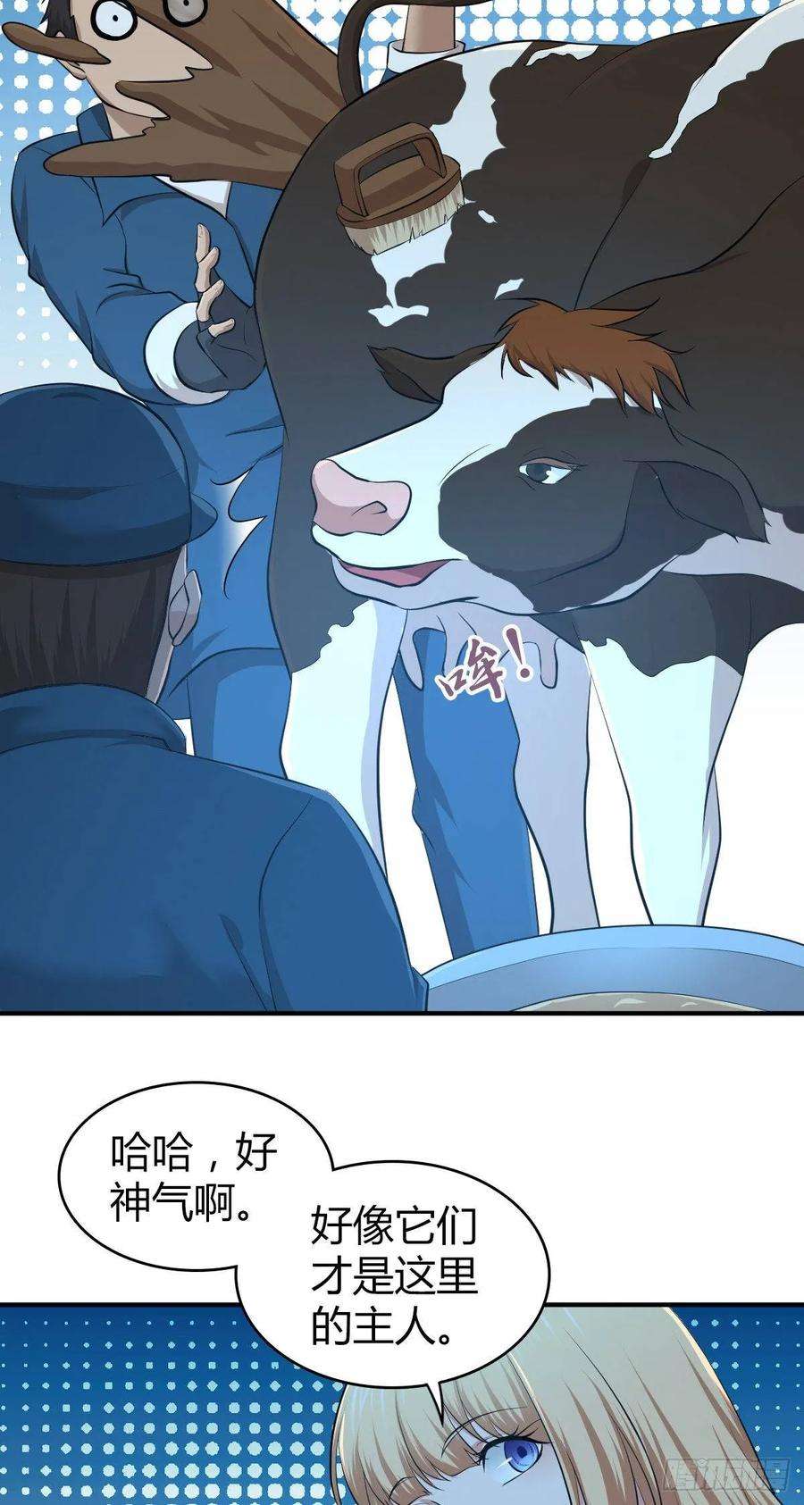 43.jpg
